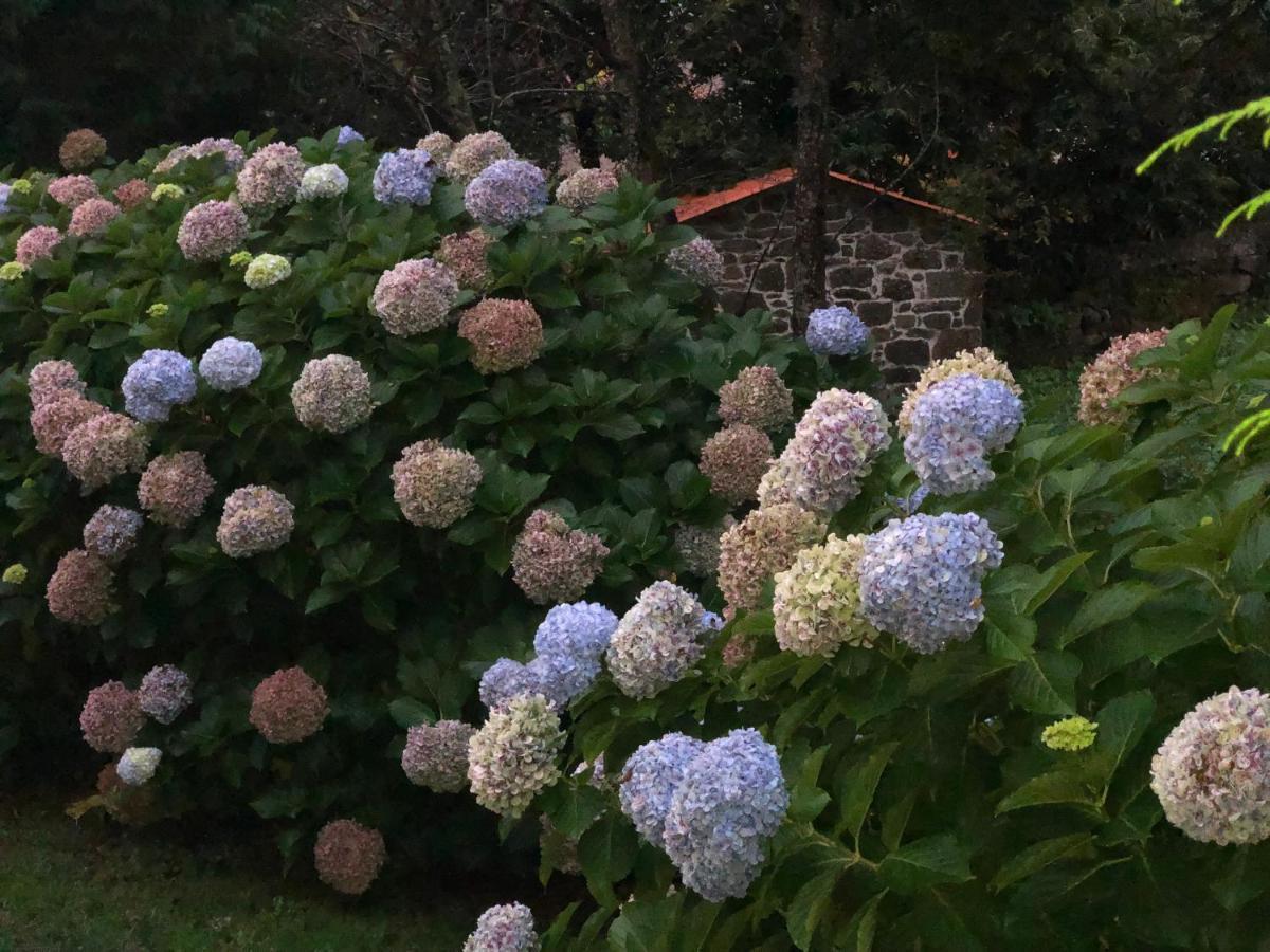 Appartamento Casa O Muino Poio Esterno foto